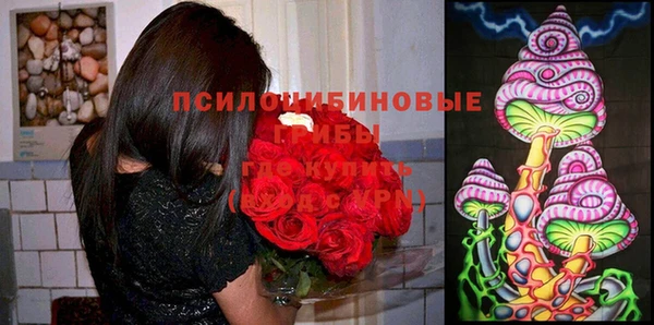мет Армянск