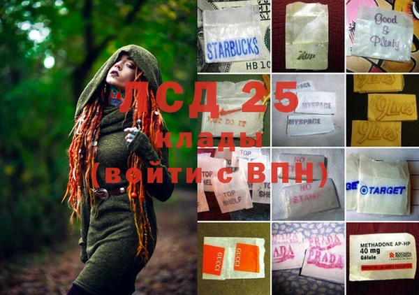спайс Аркадак
