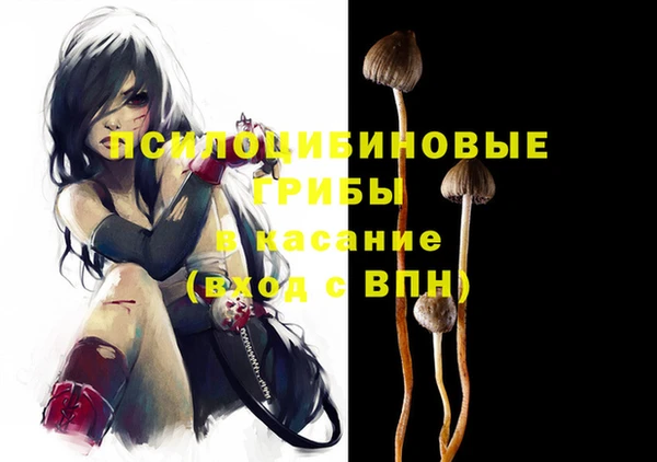 спайс Аркадак