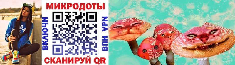 Купить где  Нерчинск  Галлюциногенные грибы Psilocybine cubensis 